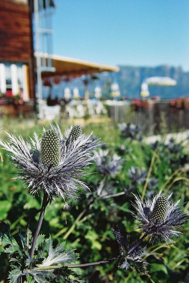 Berghotel Schonhalden Flums エクステリア 写真